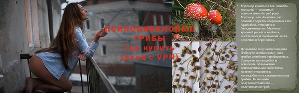 spice Белоозёрский