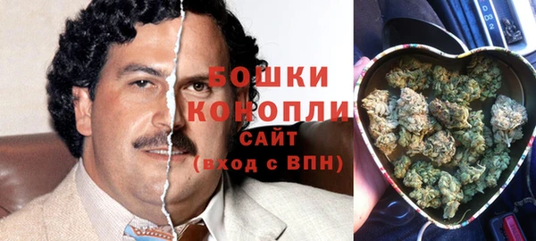 мдпв Семилуки