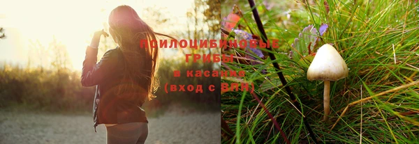 spice Белоозёрский