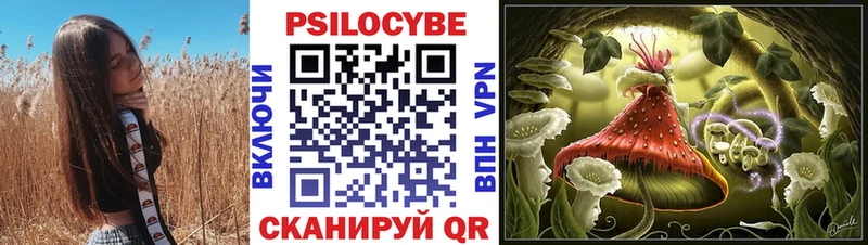 закладка  Великий Устюг  Псилоцибиновые грибы Magic Shrooms 